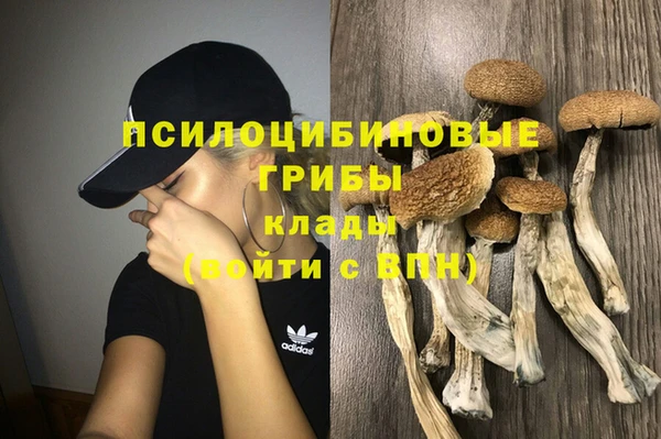 мдпв Арсеньев